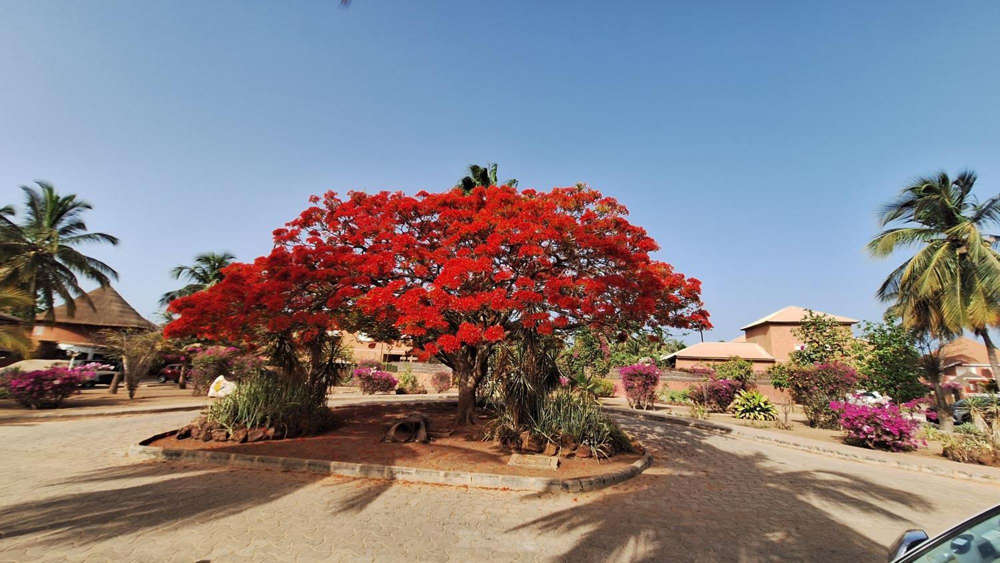Safari Village - Case73 Saly Portudal Exterior foto